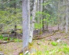 103 - 104 Arbutus Court, Terra Alta, West Virginia 26764, ,Lots/land,For Sale,Arbutus,10164735