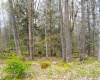 103 - 104 Arbutus Court, Terra Alta, West Virginia 26764, ,Lots/land,For Sale,Arbutus,10164735
