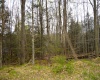 103 - 104 Arbutus Court, Terra Alta, West Virginia 26764, ,Lots/land,For Sale,Arbutus,10164735