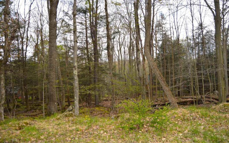 103 - 104 Arbutus Court, Terra Alta, West Virginia 26764, ,Lots/land,For Sale,Arbutus,10164735