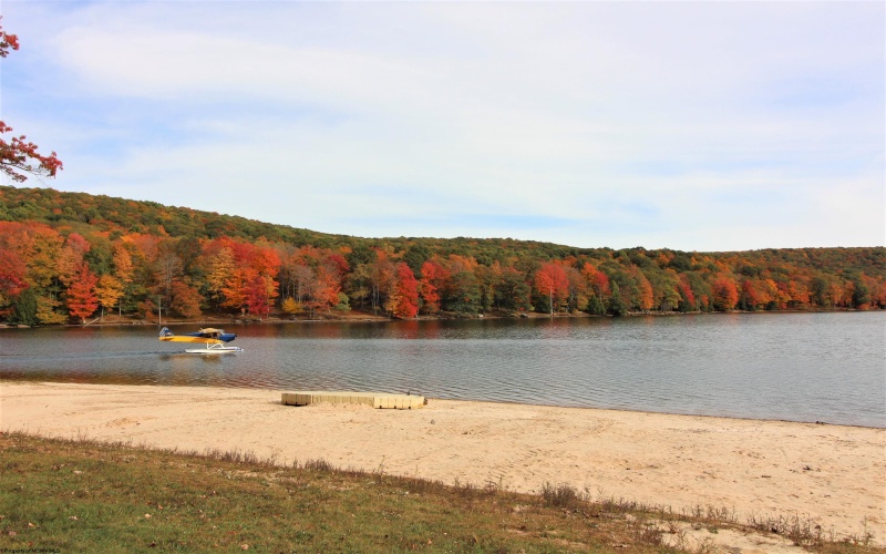 103 - 104 Arbutus Court, Terra Alta, West Virginia 26764, ,Lots/land,For Sale,Arbutus,10164735