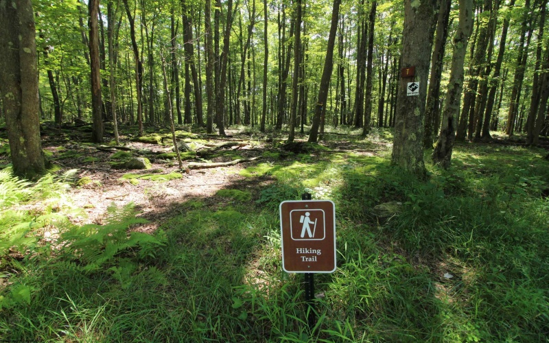 103 - 104 Arbutus Court, Terra Alta, West Virginia 26764, ,Lots/land,For Sale,Arbutus,10164735
