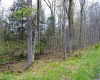 103 - 104 Arbutus Court, Terra Alta, West Virginia 26764, ,Lots/land,For Sale,Arbutus,10164735