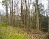 103 - 104 Arbutus Court, Terra Alta, West Virginia 26764, ,Lots/land,For Sale,Arbutus,10164735