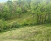 3003 Pell Road, Kingwood, West Virginia 26537, ,Lots/land,For Sale,Pell,10164740 3003 Pell Road, Kingwood, West Virginia 26537, ,Lots/land,For Sale,Pell,10164740
