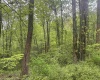 3003 Pell Road, Kingwood, West Virginia 26537, ,Lots/land,For Sale,Pell,10164740 3003 Pell Road, Kingwood, West Virginia 26537, ,Lots/land,For Sale,Pell,10164740