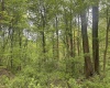 3003 Pell Road, Kingwood, West Virginia 26537, ,Lots/land,For Sale,Pell,10164740 3003 Pell Road, Kingwood, West Virginia 26537, ,Lots/land,For Sale,Pell,10164740