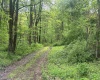 3003 Pell Road, Kingwood, West Virginia 26537, ,Lots/land,For Sale,Pell,10164740 3003 Pell Road, Kingwood, West Virginia 26537, ,Lots/land,For Sale,Pell,10164740