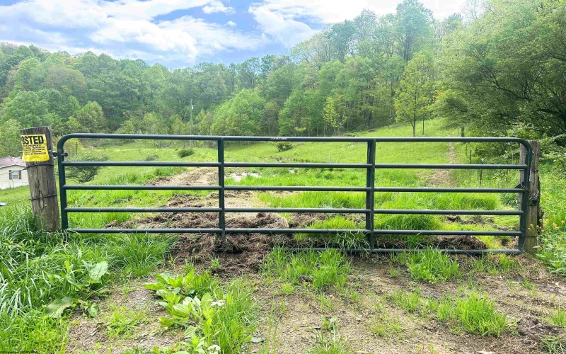 3003 Pell Road, Kingwood, West Virginia 26537, ,Lots/land,For Sale,Pell,10164740 3003 Pell Road, Kingwood, West Virginia 26537, ,Lots/land,For Sale,Pell,10164740