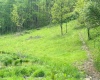 3003 Pell Road, Kingwood, West Virginia 26537, ,Lots/land,For Sale,Pell,10164740 3003 Pell Road, Kingwood, West Virginia 26537, ,Lots/land,For Sale,Pell,10164740