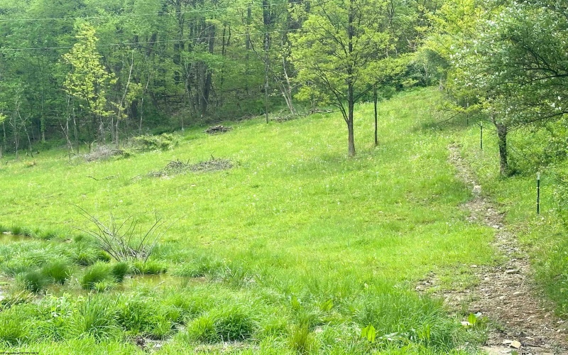 3003 Pell Road, Kingwood, West Virginia 26537, ,Lots/land,For Sale,Pell,10164740 3003 Pell Road, Kingwood, West Virginia 26537, ,Lots/land,For Sale,Pell,10164740