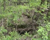 3003 Pell Road, Kingwood, West Virginia 26537, ,Lots/land,For Sale,Pell,10164740 3003 Pell Road, Kingwood, West Virginia 26537, ,Lots/land,For Sale,Pell,10164740