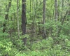 3003 Pell Road, Kingwood, West Virginia 26537, ,Lots/land,For Sale,Pell,10164740 3003 Pell Road, Kingwood, West Virginia 26537, ,Lots/land,For Sale,Pell,10164740