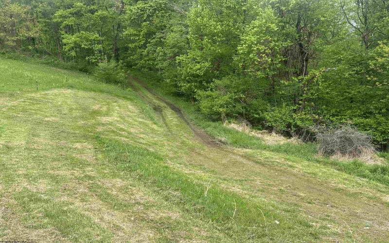 3003 Pell Road, Kingwood, West Virginia 26537, ,Lots/land,For Sale,Pell,10164740 3003 Pell Road, Kingwood, West Virginia 26537, ,Lots/land,For Sale,Pell,10164740