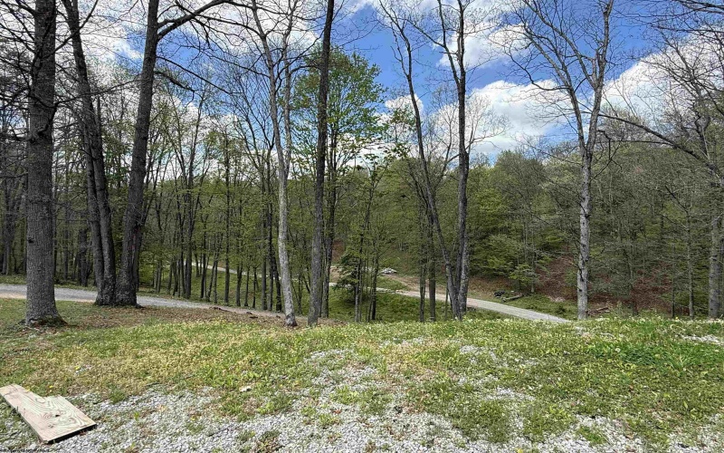 363 Sunny Brush Drive, Elkins, West Virginia 26241, 3 Bedrooms Bedrooms, 8 Rooms Rooms,2 BathroomsBathrooms,Single Family Detached,For Sale,Sunny Brush,10164760