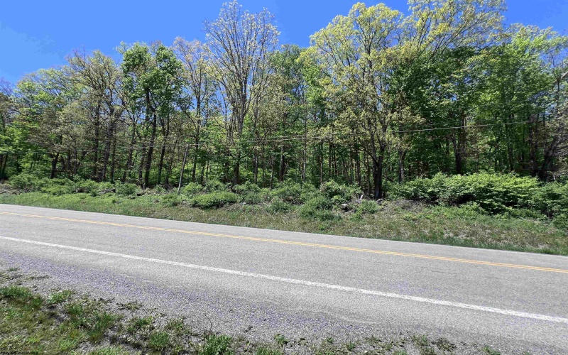 TBD Rt. 219 Highway, Valley Bend, West Virginia 26293, ,Lots/land,For Sale,Rt. 219,10164761