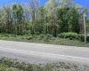 TBD Rt. 219 Highway, Valley Bend, West Virginia 26293, ,Lots/land,For Sale,Rt. 219,10164761