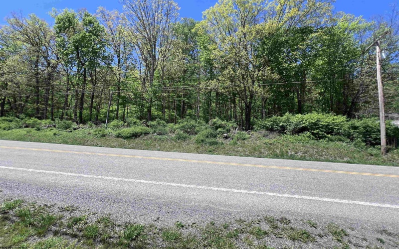 TBD Rt. 219 Highway, Valley Bend, West Virginia 26293, ,Lots/land,For Sale,Rt. 219,10164761