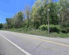 TBD Rt. 219 Highway, Valley Bend, West Virginia 26293, ,Lots/land,For Sale,Rt. 219,10164761