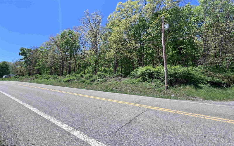 TBD Rt. 219 Highway, Valley Bend, West Virginia 26293, ,Lots/land,For Sale,Rt. 219,10164761