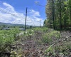 TBD Rt. 219 Highway, Valley Bend, West Virginia 26293, ,Lots/land,For Sale,Rt. 219,10164761