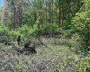 TBD Rt. 219 Highway, Valley Bend, West Virginia 26293, ,Lots/land,For Sale,Rt. 219,10164761