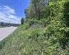 TBD Rt. 219 Highway, Valley Bend, West Virginia 26293, ,Lots/land,For Sale,Rt. 219,10164761
