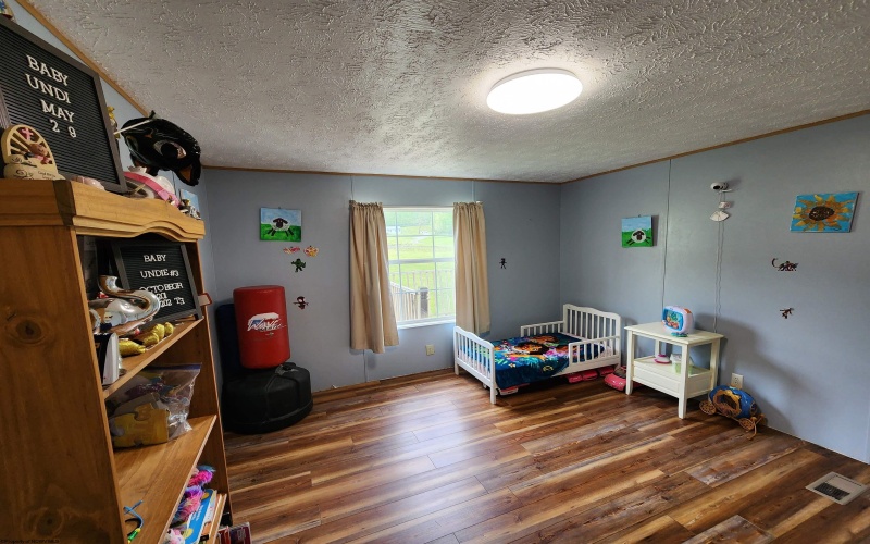 3149 Hawk Highway, Lost Creek, West Virginia 26385, 3 Bedrooms Bedrooms, 8 Rooms Rooms,2 BathroomsBathrooms,Single Family Detached,For Sale,Hawk,10164752