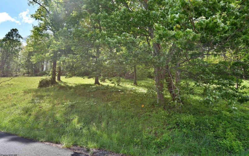 Lot 17 Diamond Cove, Bridgeport, West Virginia 26330, ,Lots/land,For Sale,Diamond,10164787
