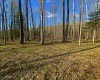 TBD Bobolink Drive, Terra Alta, West Virginia 26764, ,Lots/land,For Sale,Bobolink,10164777