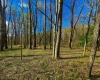 TBD Bobolink Drive, Terra Alta, West Virginia 26764, ,Lots/land,For Sale,Bobolink,10164777