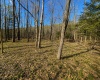 TBD Bobolink Drive, Terra Alta, West Virginia 26764, ,Lots/land,For Sale,Bobolink,10164777