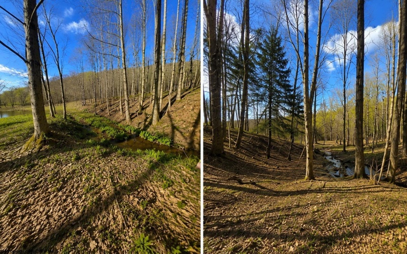 TBD Bobolink Drive, Terra Alta, West Virginia 26764, ,Lots/land,For Sale,Bobolink,10164777