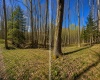 TBD Bobolink Drive, Terra Alta, West Virginia 26764, ,Lots/land,For Sale,Bobolink,10164777
