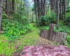 2086 Teagarden Fork Road, Metz, West Virginia 26585, 1 Bedroom Bedrooms, 4 Rooms Rooms,1 BathroomBathrooms,Single Family Detached,For Sale,Teagarden Fork,10164771