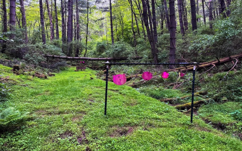 2086 Teagarden Fork Road, Metz, West Virginia 26585, 1 Bedroom Bedrooms, 4 Rooms Rooms,1 BathroomBathrooms,Single Family Detached,For Sale,Teagarden Fork,10164771