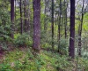 2086 Teagarden Fork Road, Metz, West Virginia 26585, 1 Bedroom Bedrooms, 4 Rooms Rooms,1 BathroomBathrooms,Single Family Detached,For Sale,Teagarden Fork,10164771