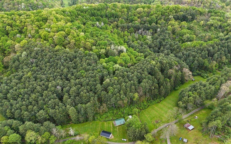 2086 Teagarden Fork Road, Metz, West Virginia 26585, 1 Bedroom Bedrooms, 4 Rooms Rooms,1 BathroomBathrooms,Single Family Detached,For Sale,Teagarden Fork,10164771
