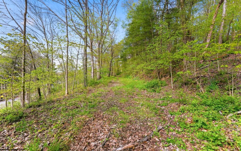 TBD Country Lane, Bruceton Mills, West Virginia 26525, ,Lots/land,For Sale,Country,10164815