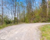 TBD Country Lane, Bruceton Mills, West Virginia 26525, ,Lots/land,For Sale,Country,10164815