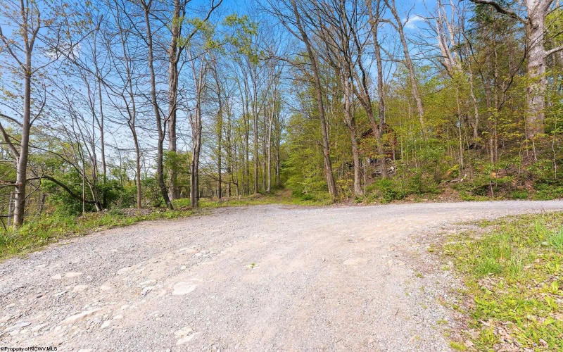 TBD Country Lane, Bruceton Mills, West Virginia 26525, ,Lots/land,For Sale,Country,10164815