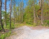 TBD Country Lane, Bruceton Mills, West Virginia 26525, ,Lots/land,For Sale,Country,10164815