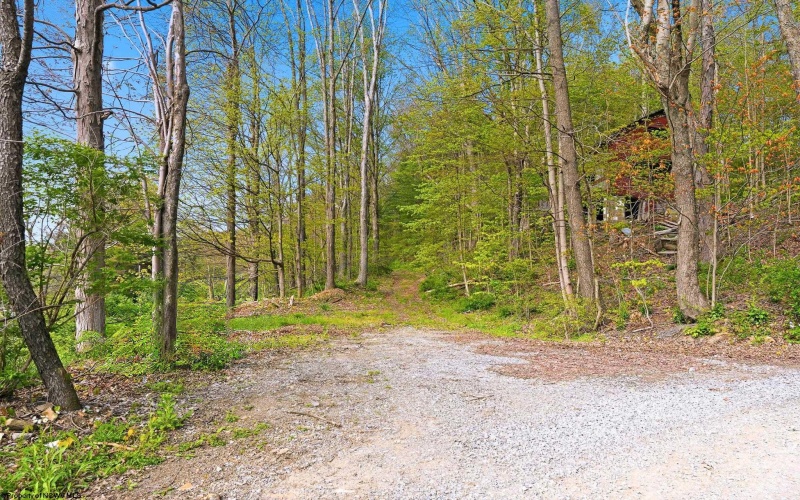 TBD Country Lane, Bruceton Mills, West Virginia 26525, ,Lots/land,For Sale,Country,10164815