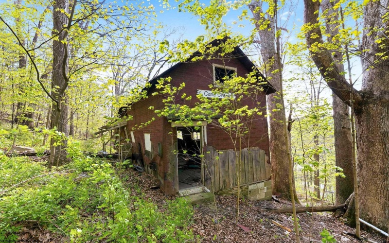 TBD Country Lane, Bruceton Mills, West Virginia 26525, ,Lots/land,For Sale,Country,10164815