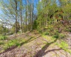 TBD Country Lane, Bruceton Mills, West Virginia 26525, ,Lots/land,For Sale,Country,10164815