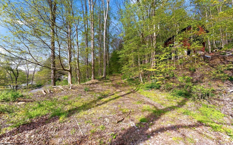 TBD Country Lane, Bruceton Mills, West Virginia 26525, ,Lots/land,For Sale,Country,10164815