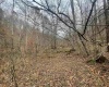 TBD Sand Fork Road, Walkersville, West Virginia 26447, ,Lots/land,For Sale,Sand Fork,10162503