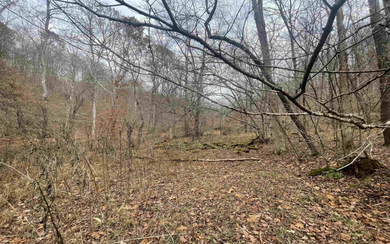 TBD Sand Fork Road, Walkersville, West Virginia 26447, ,Lots/land,For Sale,Sand Fork,10162503