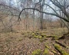 TBD Sand Fork Road, Walkersville, West Virginia 26447, ,Lots/land,For Sale,Sand Fork,10162503