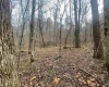 TBD Sand Fork Road, Walkersville, West Virginia 26447, ,Lots/land,For Sale,Sand Fork,10162503